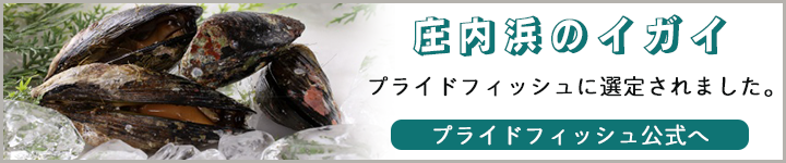 庄内浜のイガイ